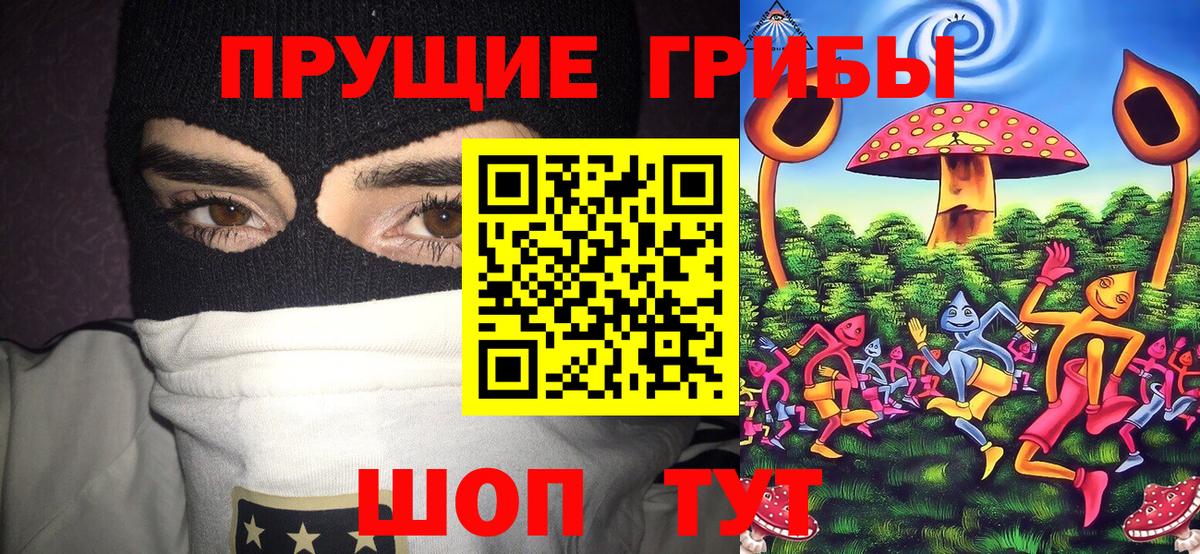 Псилоцибиновые грибы MAGIC MUSHROOMS Мичуринск